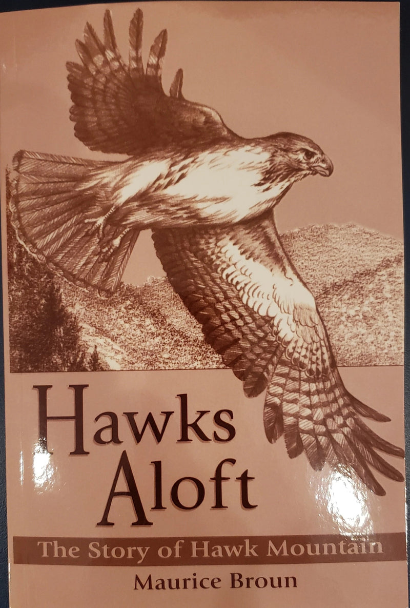 Hawks Aloft by Maurice Broun