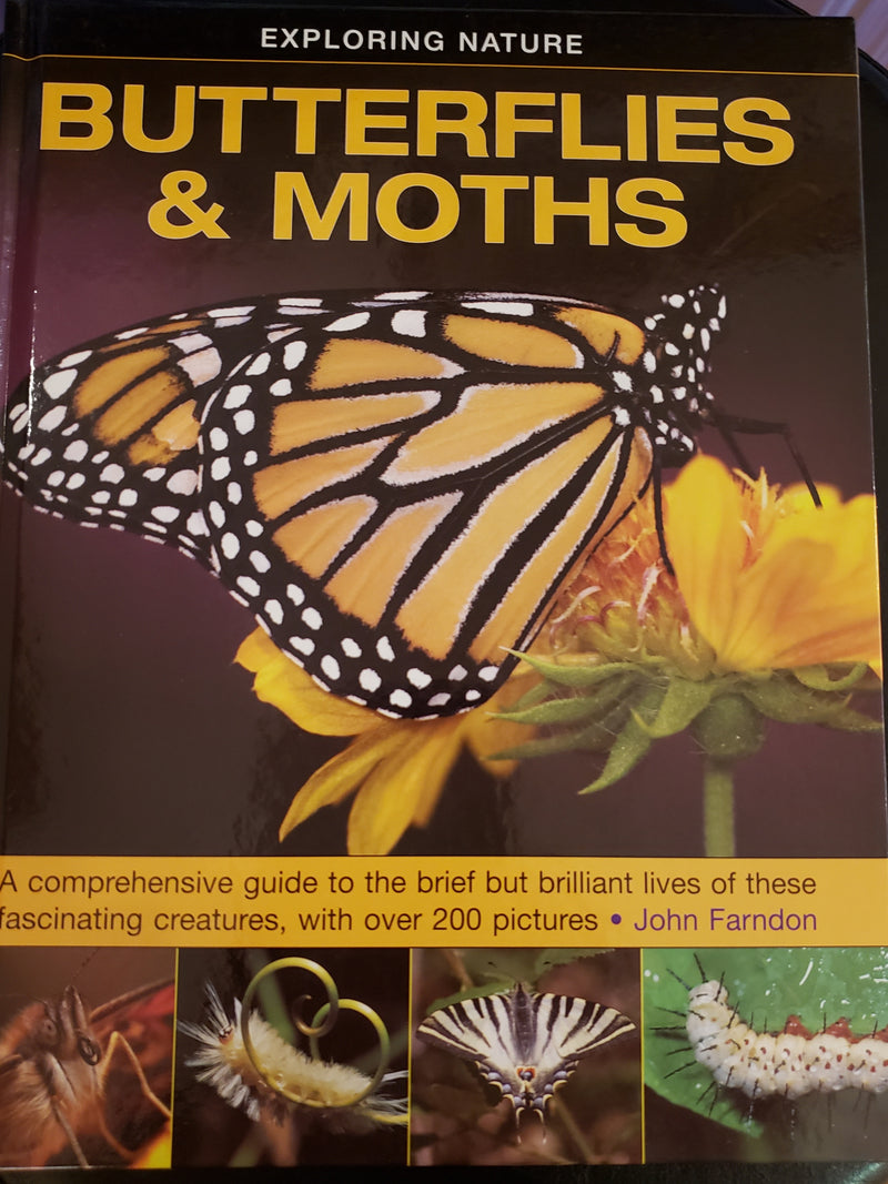 Butterflies and Moths by John Farndon