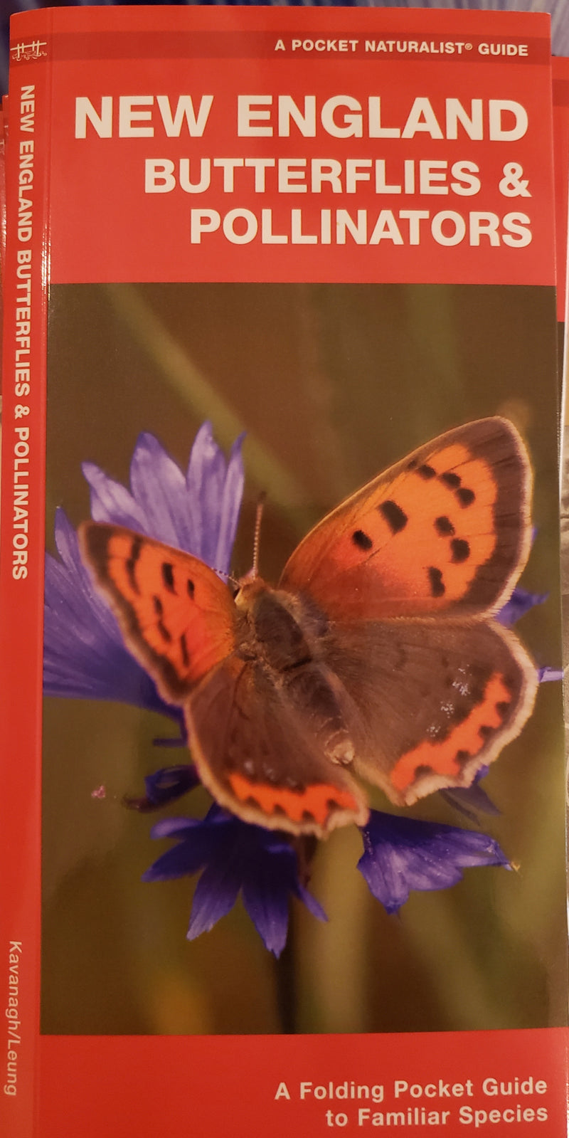 New England Butterflies & Pollinators by Kavanah/Leung