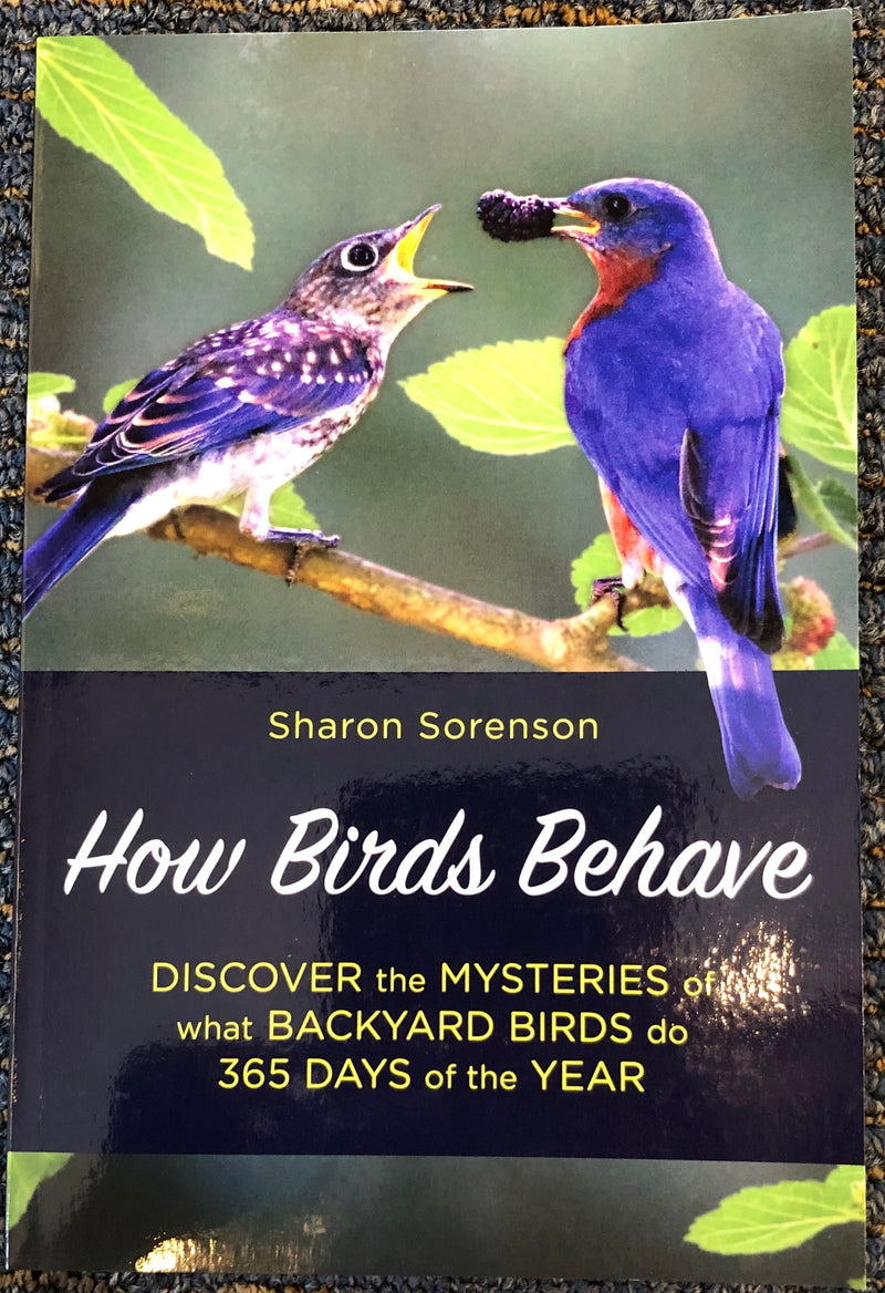 How Birds Behave by Sharon Sorenson