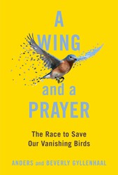 A Wing and a Prayer by Anders and Beverly Gyllenhaal